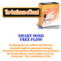 Thumbnail SMART MIND  FREE FLOW.mp3